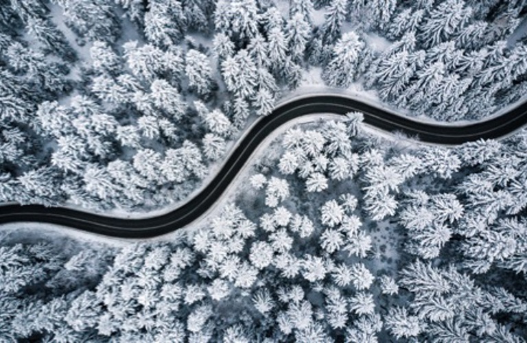 arial image of a forest with a road to represent Lenvi motor finance services